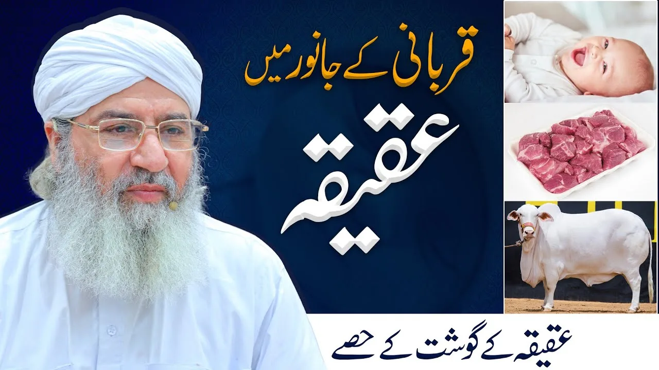 Qurbani K Janwer Mai Aqiqa | Aqiqay Kay Gosht Kay Hissay | Qurbani Kay Masail | Haji Shahid Attari